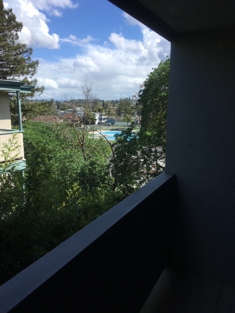 View from deck - 40 Foster St