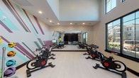 Haven on Tucker's dedicated fitness studio is a well-appointed, single-floor space designed to support a wide range of workout routines. The room immediately draws attention with its bold, geometric mural — a dynamic arrangement of diagonal stripes in teal, mauve, and gray — that energizes the environment and sets an active tone throughout.

A row of stationary cycling bikes lines the studio floor, positioned to face a large wall-mounted flat-screen display, making the space ideal for guided spin classes or solo cycling sessions. A full-length mirror wall runs along one side, visually expanding the room and allowing users to monitor their form during workouts. Recessed lighting in the raised ceiling provides even, well-distributed illumination throughout the space.

On the opposite end of the studio, a functional training rig offers resistance bands, TRX suspension trainers, and battle ropes, supporting strength and conditioning exercises. A rack of medicine balls and stability balls in assorted sizes provides additional versatility for cross-training.

Oversized, grid-pane windows along one wall flood the studio with abundant natural light and offer views of the surrounding neighborhood, creating an open and motivating atmosphere. Light wood-toned flooring completes the clean, modern aesthetic, making this fitness studio both functional and visually engaging.