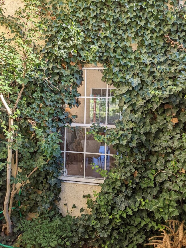 Foto del edificio - 6424 Saint Josephs Ave NW