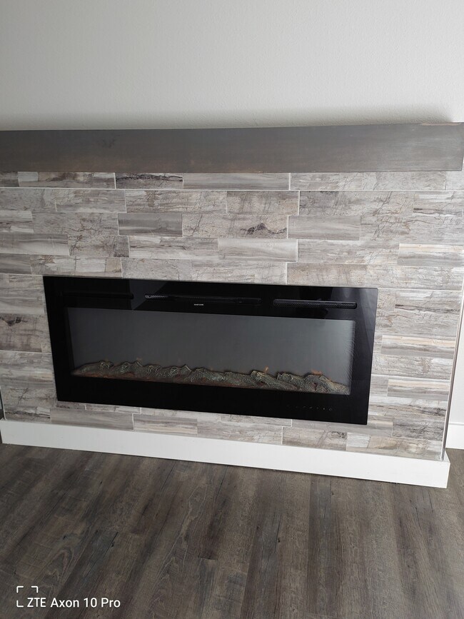 Electric Fireplace insert - 303 Gage Blvd