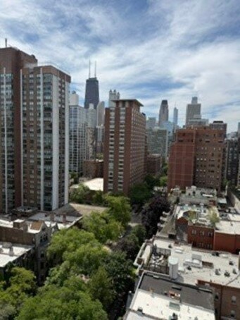 Foto del edificio - 1400 N State Pkwy