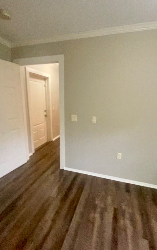 Building Photo - 4019 MS-44