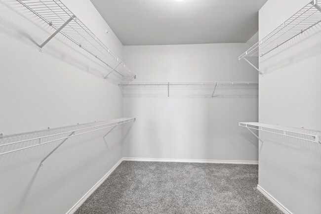 Walk-in closet - Avalon Hill Country