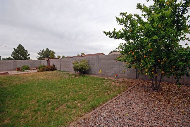 Building Photo - 2335 N Evergreen St