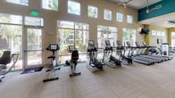 Located at 6608 S West Shore Blvd in Tampa, FL, this well-appointed fitness center offers a thoughtfully designed, single-floor layout built to accommodate a full range of workout needs. The facility boasts soaring ceilings with a distinctive teal accent detail, creating an open and energizing atmosphere throughout the space. Large floor-to-ceiling windows and clerestory windows line the walls, flooding the interior with natural light and offering views of lush palm trees and the surrounding tropical landscape.

The cardio zone features a generous row of TRUE treadmills, elliptical trainers, and stationary bikes, all positioned along the windowed wall to maximize outdoor views during workouts. Ceiling fans are installed throughout to promote air circulation and comfort. A dedicated strength training area includes a variety of cable machines, selectorized weight stations, free weight benches, and a full dumbbell rack, providing options for both beginners and experienced athletes. Wall-mounted mirrors extend across sections of the space, enhancing the sense of openness and allowing users to monitor their form.

The flooring consists of neutral, durable carpet tile laid in a subtle geometric pattern, while a wall-mounted flat-screen television adds an entertainment element. Glass partitions offer partial visual separation between zones while maintaining the facility's bright, airy feel.