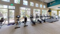 Located at 6608 S West Shore Blvd in Tampa, FL, this well-appointed fitness center offers a thoughtfully designed, single-floor layout built to accommodate a full range of workout needs. The facility boasts soaring ceilings with a distinctive teal accent detail, creating an open and energizing atmosphere throughout the space. Large floor-to-ceiling windows and clerestory windows line the walls, flooding the interior with natural light and offering views of lush palm trees and the surrounding tropical landscape.

The cardio zone features a generous row of TRUE treadmills, elliptical trainers, and stationary bikes, all positioned along the windowed wall to maximize outdoor views during workouts. Ceiling fans are installed throughout to promote air circulation and comfort. A dedicated strength training area includes a variety of cable machines, selectorized weight stations, free weight benches, and a full dumbbell rack, providing options for both beginners and experienced athletes. Wall-mounted mirrors extend across sections of the space, enhancing the sense of openness and allowing users to monitor their form.

The flooring consists of neutral, durable carpet tile laid in a subtle geometric pattern, while a wall-mounted flat-screen television adds an entertainment element. Glass partitions offer partial visual separation between zones while maintaining the facility's bright, airy feel.