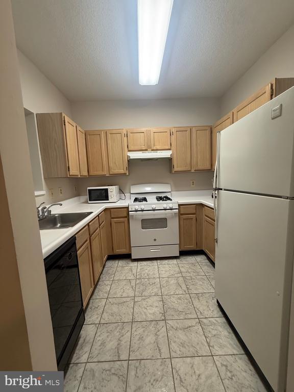 Foto del edificio - 12012 Taliesin Pl