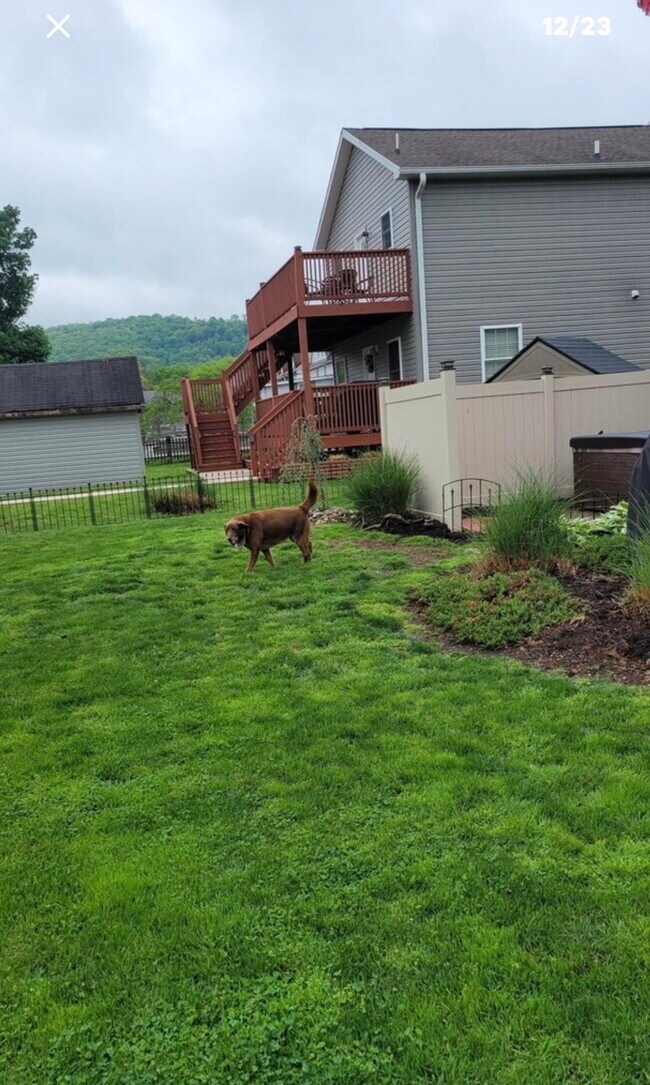 Foto del edificio - 1003 Catherine St