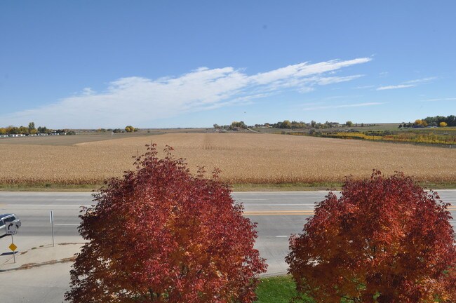 view from dining - 2018 Ionosphere St