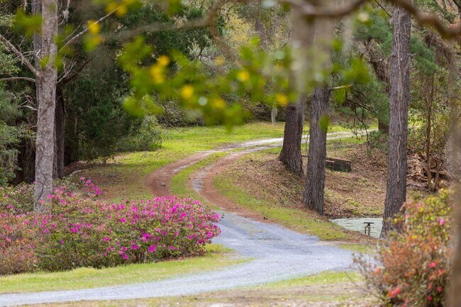 Foto del edificio - Historic Plantation Property on the Ashley River