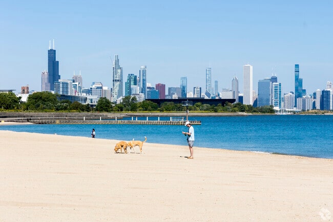 Head over to 31st Street Beach, located in the Bronzeville area.