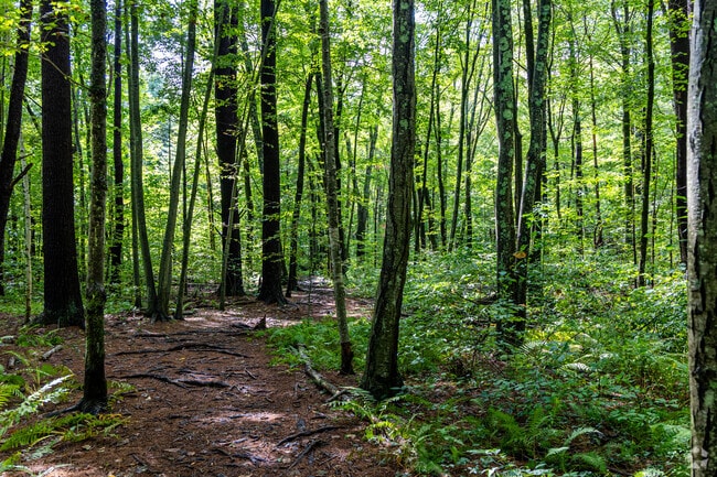 Take a break and stroll the trails and open areas around Lester G. Ross Reservoir in Berlin, MA.