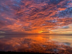 Building Photo - 201 International Dr