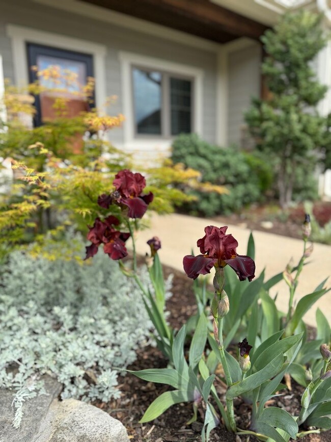 Building Photo - Black Mountain - Gardeners Delight!!