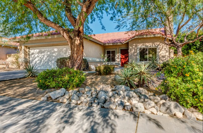 Desert landscaping - 1598 Amelia Way