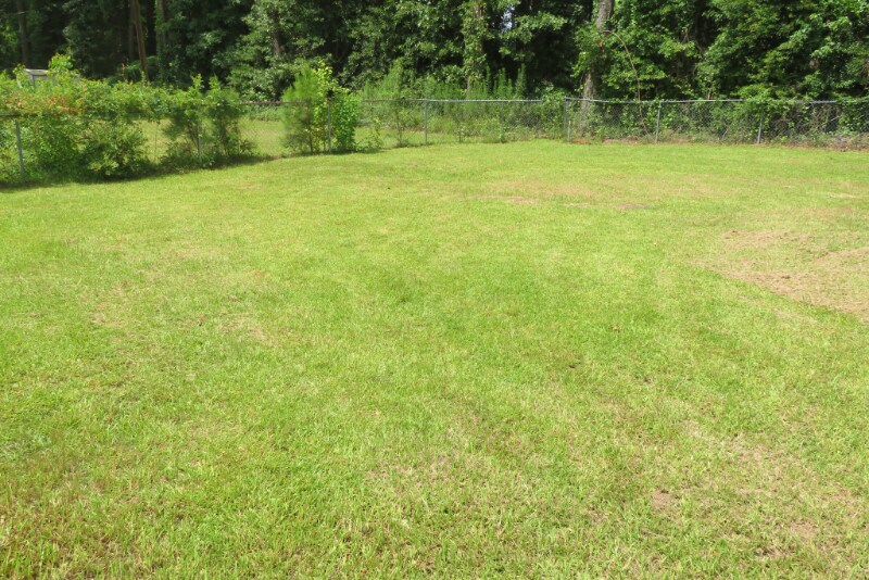 413 Juniper St, New Llano, LA 71461 House Rental in New Llano, LA