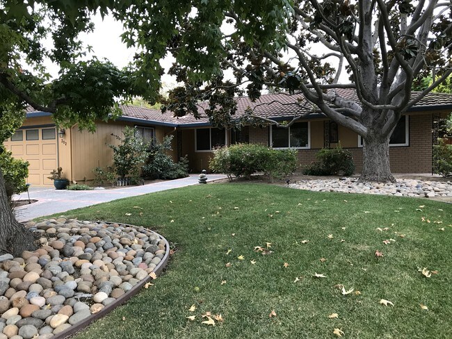 Building Photo - 302 Madrone Ave