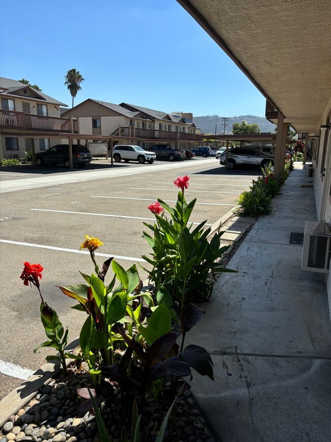 Foto del edificio - Palms Apartments San Marcos 2 bed 2 bath