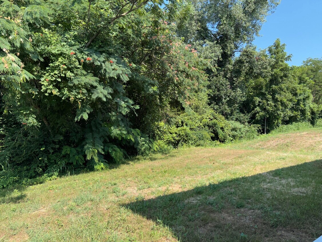 Foto del edificio - 15405 Corbin Ct