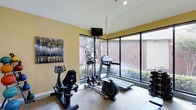 This single-story fitness center in Euless, TX is designed to support an active lifestyle with a practical and well-appointed layout. The space is equipped with a selection of cardio machines, including a stationary bike, elliptical trainer, and treadmill, providing a comprehensive range of workout options. Large floor-to-ceiling windows line one wall, flooding the room with natural light and offering views of the surrounding landscaped greenery and brick exterior. The vaulted ceiling adds a sense of openness, while recessed lighting ensures the space remains well-lit regardless of the time of day. A wall-mounted flat-screen television is positioned for easy viewing during workouts. The warm yellow walls, accented by an abstract wall art piece, create an inviting and energizing atmosphere. The flooring features durable, exercise-appropriate material suited for equipment use. A dumbbell rack visible along one side indicates additional free weight options. Overall, the space balances functionality with a welcoming aesthetic, making it an accessible and comfortable environment for residents to pursue their fitness goals.