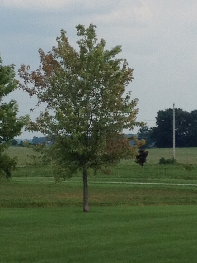 Foto del edificio - 505 Vineyards Ct