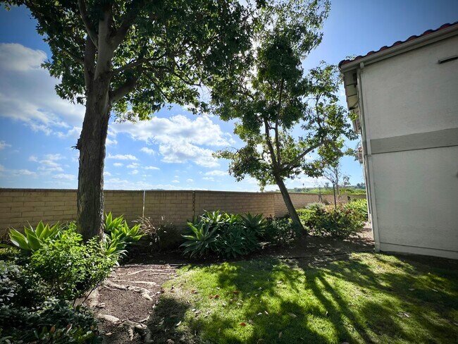 Área de patio delantero... - 10341 Azuaga St