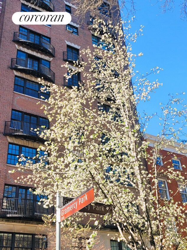 Foto principal - 225 E 21st St