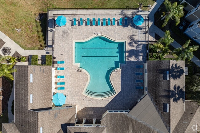 Pool Aerial - Hammock Oaks