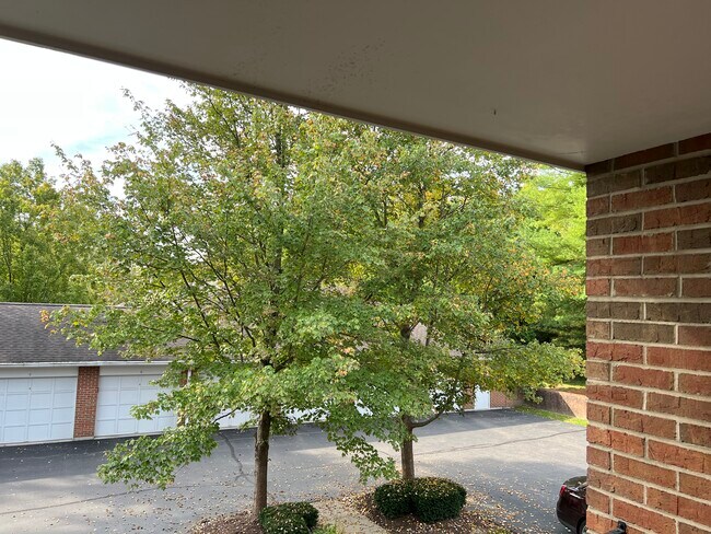 Foto del edificio - 9325 Loveland Madeira Rd