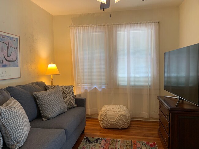 Living area with television - 4036 Saint Charles Ave