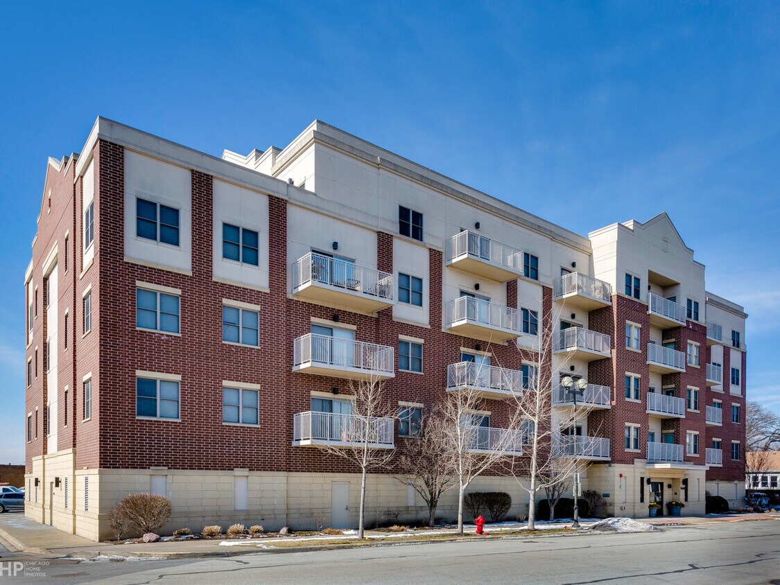 9440 S 51st Ave Unit 201, Oak Lawn, IL 60453 Condo for Rent in Oak