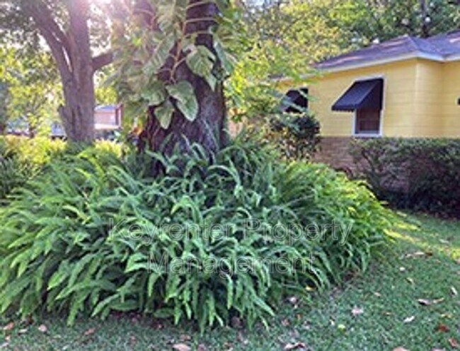 Building Photo - 3519 Oleander St
