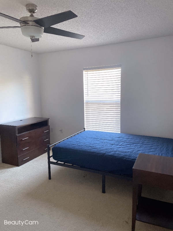 Photo - 16032 Corner Lake Dr House