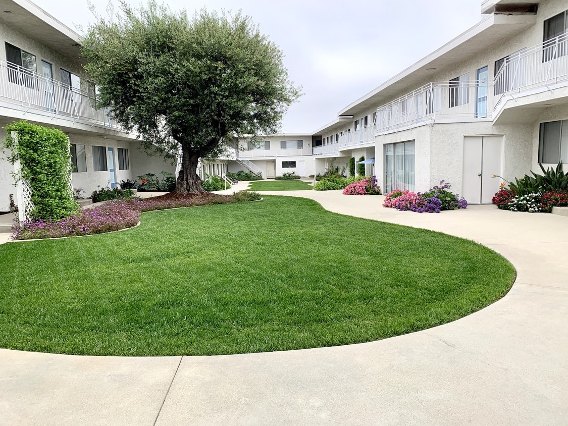 23805 Arlington Ave, Torrance, CA 90501 Apartments in Torrance, CA