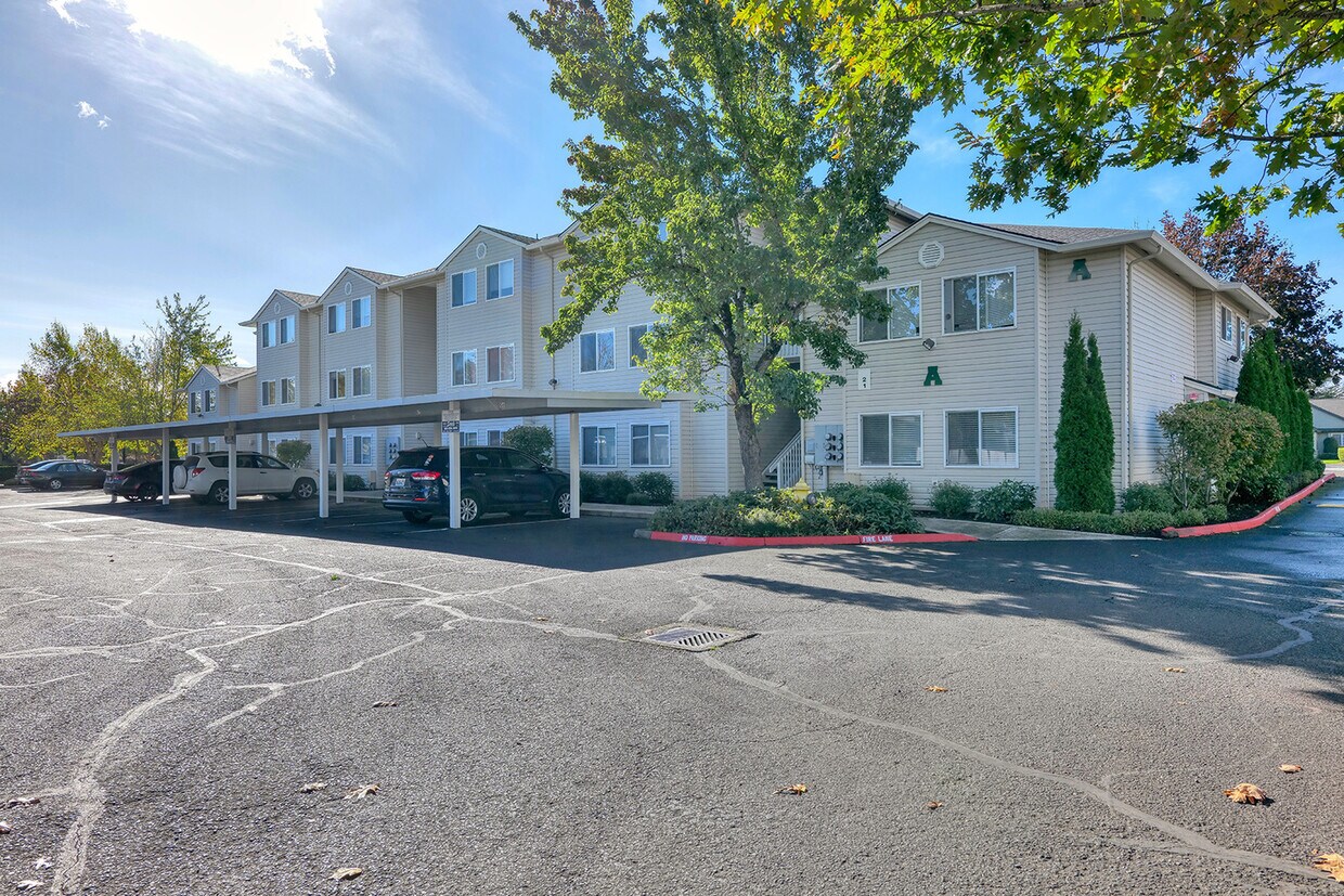 Foto principal - Millennium Park