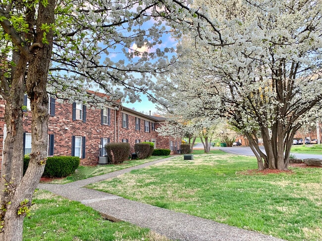 Building Photo - Countrybrook Apartments
