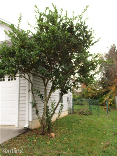 Building Photo - 3972 Leinbach Dr