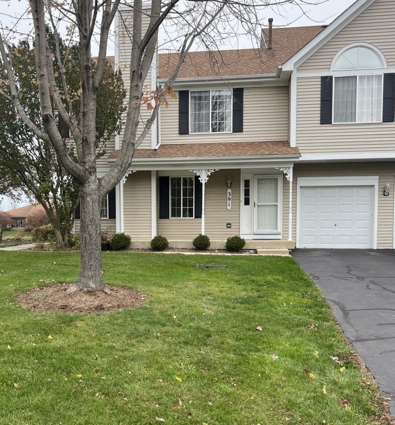 391 Lowell Dr Unit A, South Elgin, IL 60177 Condo for Rent in South