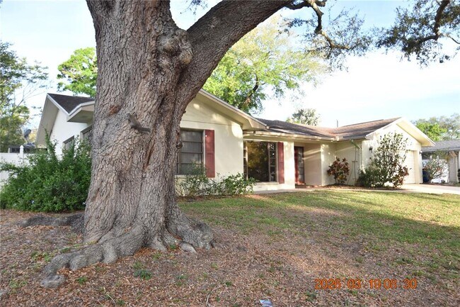 Building Photo - 2562 Redwood Way