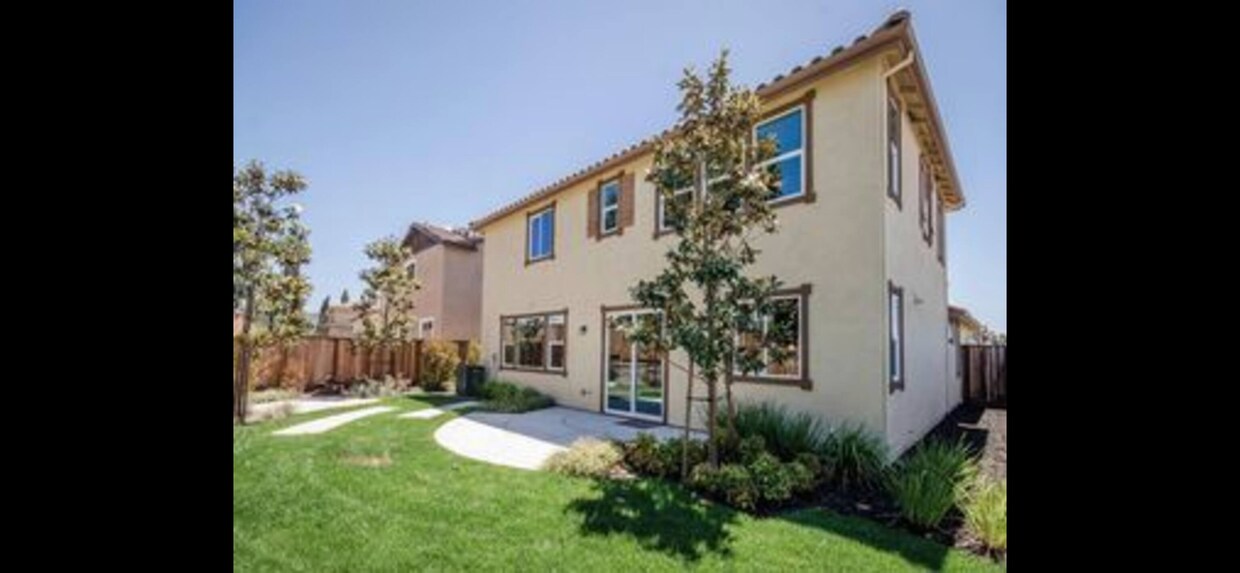 Backyard - 708 Saratoga Dr