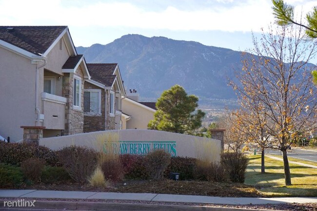 Building Photo - 3605 Strawberry Field Grove