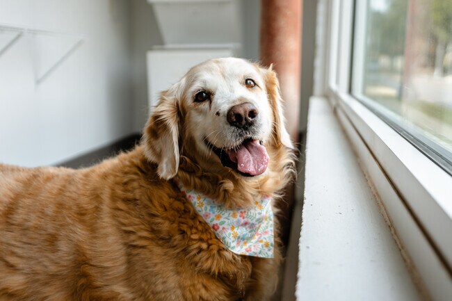 Building Photo - Wheeler Lofts
