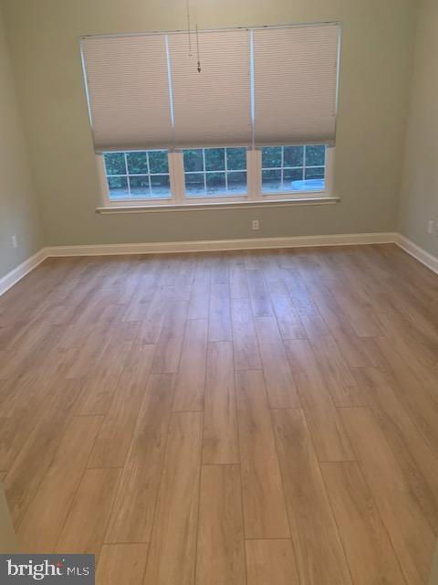 Building Photo - 1526 Springfield Ct