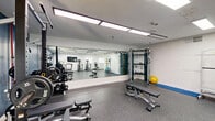 Located at 8503 N Tryon St in Charlotte, NC, this fitness center offers a thoughtfully organized, single-floor layout designed to accommodate a full range of exercise activities. The space is divided into two functional zones: a strength training area and a cardio area, providing users with a comprehensive workout environment.

The strength training zone features bold blue accent walls, a power rack with Olympic barbells and weight plates, multiple adjustable benches, and a full dumbbell rack. A floor-to-ceiling mirror spans one wall, allowing users to monitor their form during lifts. The durable speckled rubber flooring throughout provides excellent traction and impact absorption.

The cardio zone transitions to clean white walls and includes several elliptical trainers and a treadmill, positioned near windows that allow natural light to filter into the space. A wall-mounted television is conveniently placed for entertainment during workouts. This area also houses functional training accessories, including medicine balls and resistance equipment on a mobile storage rack.

Recessed panel lighting installed across the ceiling ensures bright, even illumination throughout the entire facility. The space maintains a clean, practical aesthetic with well-organized equipment placement, making it accessible and efficient for users of all fitness levels.
