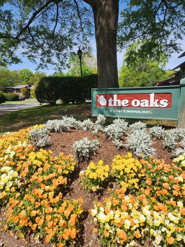 Foto principal - Chapel Hill / The Oaks Townhome