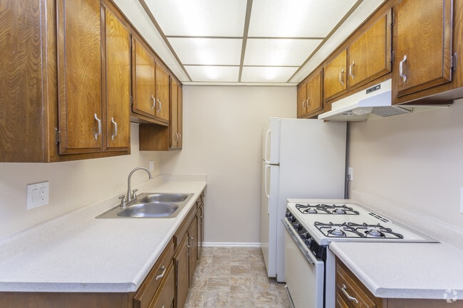 1 BR, 1 BA - 594 SF - The Sycamore