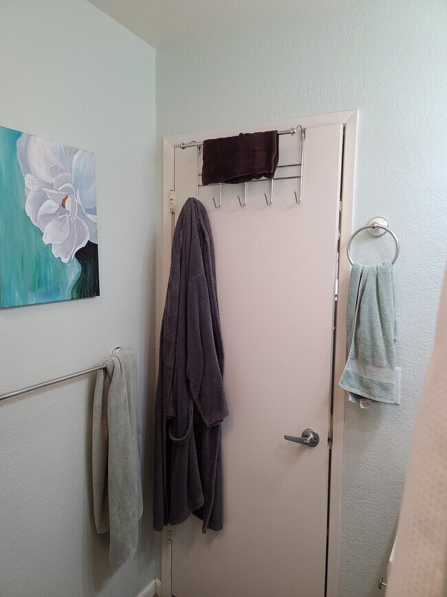 Hall bathroom towel rack, door - 3400 Santa Maria Way