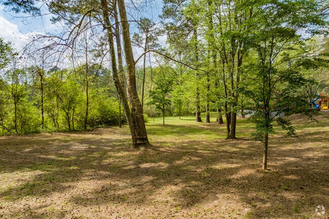Shady Valley Park in Pine Hills has many opportunities for walking and taking in nature.