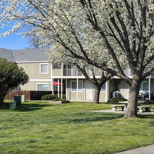 Building Photo - 6667 Blue Heron Dr