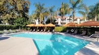 This outdoor amenity space centers around a generously sized swimming pool with clear, blue water and a wide surrounding deck designed for leisure and relaxation. The pool area is outfitted with a row of cushioned lounge chairs shaded by vibrant orange market umbrellas, creating a welcoming, resort-style atmosphere well-suited for warm, sunny days. Tall palm trees and mature landscaping frame the perimeter, providing a lush, tropical aesthetic and natural shade throughout the space.

Adjacent to the pool deck, a tiled outdoor shower station offers a practical rinse-off area, featuring striped grey-and-white tile work and a built-in bench seat, adding both function and visual interest. A dedicated restroom facility is conveniently accessible nearby, marked with clear signage and secured with a key available through the on-site office. The surrounding grounds include manicured hedges, mulched garden beds, and concrete walkways that connect the various amenity areas seamlessly.

The overall ambiance is bright and open, benefiting from abundant natural sunlight and clear sky views. Multi-story residential buildings are visible in the background, framed by additional mature trees that contribute to a sense of privacy and a cohesive, well-maintained community environment.